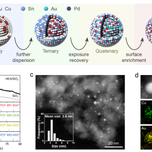 定制合金粉末（VMP）